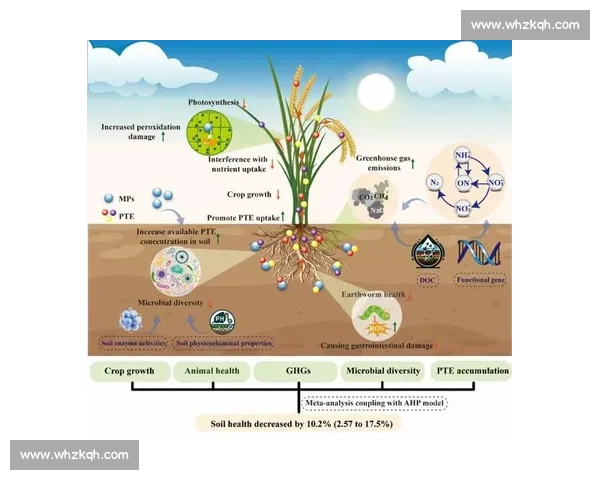 解析体育赛事赛制多样化及其影响与运作机制的全面解读 - 副本